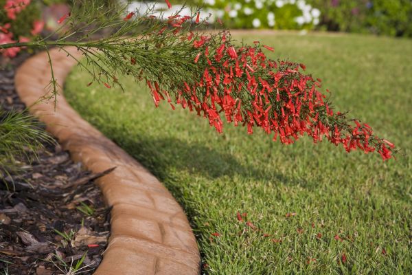 Brick Edging in Yorktown