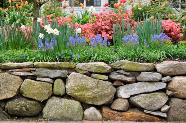 Stone Wall Hardscaping in Yorktown