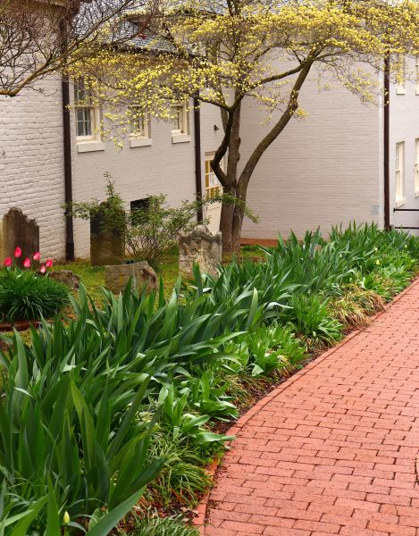 Brick Flatwork Repair in Yorktown